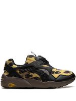 PUMA baskets Disc Blaze 'Leopard' - Noir