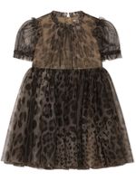 Dolce & Gabbana Kids robe en tulle à imprimé léopard - Marron