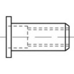 TOOLCRAFT TO-5444250 Popmoer M10 Staal 100 stuk(s)