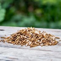Eiwitrijke insectenmix 2,5kg