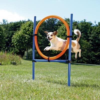 TRIXIE 3208 dog/cat agility equipment Hond Set behendigheidsuitrusting Blauw, Oranje Kunststof TRIXIE 3208 dog/cat agility equipment Hond Set behendigheidsuitrusting Blauw, Oranje Kunststof