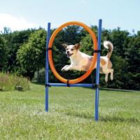TRIXIE 3208 dog/cat agility equipment Hond Set behendigheidsuitrusting Blauw, Oranje Kunststof