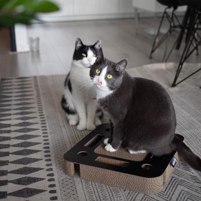 Kattenspeelgoed Spy Zwart Kattenspeelgoed Spy Zwart