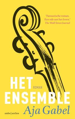 Het ensemble - Aja Gabel - ebook