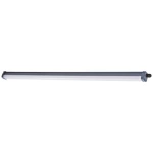 Philips Lighting ProjectLine LED-lamp voor vochtige ruimte LED LED 34 W Koudwit Zwart