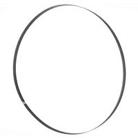 Holzmann Maschinen Bandzaagblad 1575x10x0,36mm 6 ZpZ BSB230B10