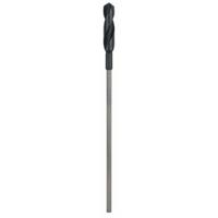 Bosch Accessories 2608597167 Bekistingsboor 22 mm Gezamenlijke lengte 400 mm Cilinderschacht 1 stuk(s) - thumbnail