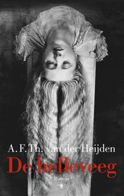 De helleveeg - A.F.Th. van der Heijden - ebook