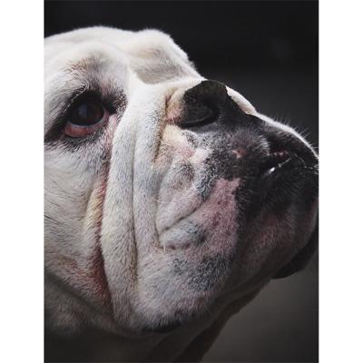 Wanddecoratie Faces 006 15x20cm