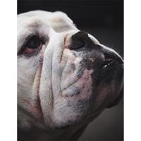 Wanddecoratie Faces 006 15x20cm