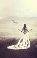 Mona Lisa diamond painting Saint Helens 50 x 40 cm wit 440 gr