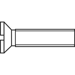 TOOLCRAFT M2*10 D963-4.8:A2K 194817 Verzonken schroeven M2 10 mm Sleuf DIN 963 Staal Verzinkt 100 stuk(s)