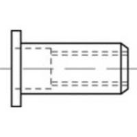 TOOLCRAFT TO-5380473 Popmoer M6 RVS 250 stuk(s)