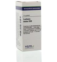 Vsm Lachesis Mutus D30 (10g)