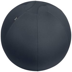 Leitz Active Sitzball 55cm Grijs Binnen Bolvormig