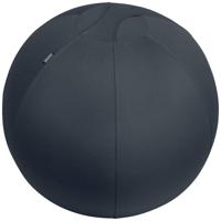 Leitz Active Sitzball 55cm Grijs Binnen Bolvormig - thumbnail