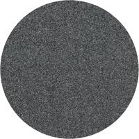 Bosch 10x PRO Plastic and Hard Stone F355 schuurblad (voor Beton, Harde steen, Ø 125 mm, Korrel 60, Professional Accessoires Kleine haakse slijper)