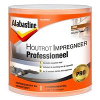 Alabastine Houtrotvuller Professioneel - 5314833 - 5314833 - thumbnail