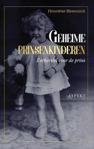 Geheime prinskinderen - Henriette Hemmink - ebook