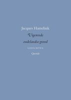 Vigerende oudelandse grond - Jacques Hamelink - ebook