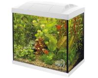 Superfish Start 50 Tropisch Aquarium Kit - Wit 45L met LED, Filter & Verwarmer