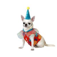 ATOSA clown huisdier kostuum