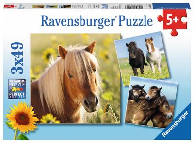 Schattige Pony's (3X49 Stukjes) - Puzzel;Puzzel (4005556080113)