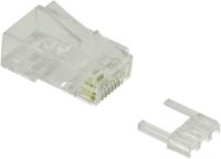 Value 21.99.3062 VALUE Modular Plug niet afgeschermd, cat. 6 (Class E), 10 stuks 21.99.3062 Stekker, recht Transparant 10 stuk(s) - thumbnail