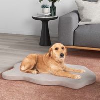 Groot Hondenbed Hondenkussen Traagschuim Waterdichte Benchmat Antislip Krasbestendige Hondenslaapmat Beige - thumbnail