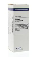 Solidago virgaurea D4