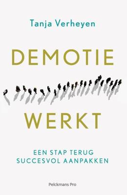 Demotie werkt - Tanja Verheyen - Paperback (9789463372114)