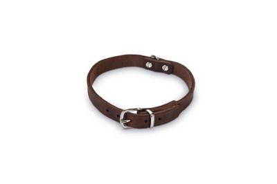 Beeztees - Halsband Hond - Leer - Bruin - 32-37 cm x 16 mm