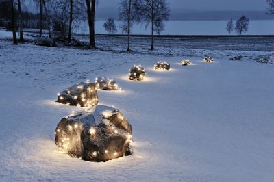 Konstsmide Lichtnet Buiten 24 V 32 LED Meerkleurig