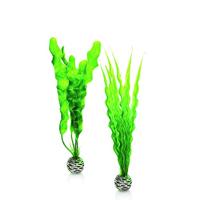 biOrb 46056 Easy Plant, Medium, Pak van 2, Groen, 35 x 12.07 x 4.45 cm