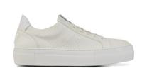 Floris van Bommel Dames Sneakers in Leder (Wit)