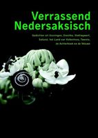 Verrassend Nedersaksisch - - ebook