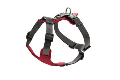 Hondentuig Aalborg Mixed Rood Hondentuig Aalborg Mixed Rood
