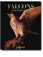 Assouline livre Falcons of Saudi Arabia - Marron