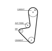 Getande riem GATES, u.a. für Peugeot, Citroën, Fiat