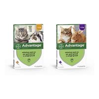 ANTIPARASSITARIO ADVANTAGE PER GATTI E CONIGLI inferiori a 4 kg.