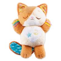 VTech Baby kattenspeelgoed, 575005, rood, standaard