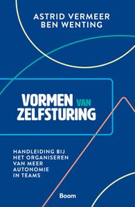 Vormen van zelfsturing - Astrid Vermeer, Ben Wenting - ebook