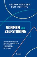 Vormen van zelfsturing - Astrid Vermeer, Ben Wenting - ebook