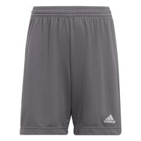 adidas Uniseks-Kind Entrada 22 Shorts, Team Grey Four, 5-6 Years