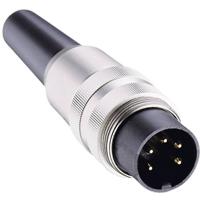 Lumberg SV 60 DIN-connector Stekker, recht Aantal polen: 6 Zilver 1 stuk(s)