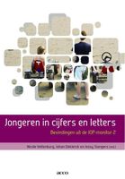 Jongeren in cijfers en letters - Nicole Vettenburg, Johan Deklerck, Jessy Siongers - ebook - thumbnail