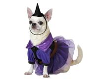 ATOSA Heksenkostuum voor huisdieren, paarse jurk met hoed