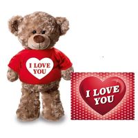 Valentijnskaart en knuffelbeer 24 cm met I love you rood shirt