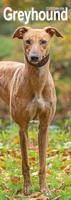 Greyhound Slim Calendar 2026 Dog Breed Slimline Calendar - 12 Month