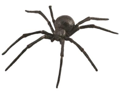 Collecta speelgoedspin zwarte weduwe junior 14 cm ABS zwart Collecta speelgoedspin zwarte weduwe junior 14 cm ABS zwart